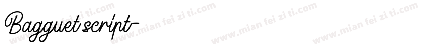 Bagguet script字体转换